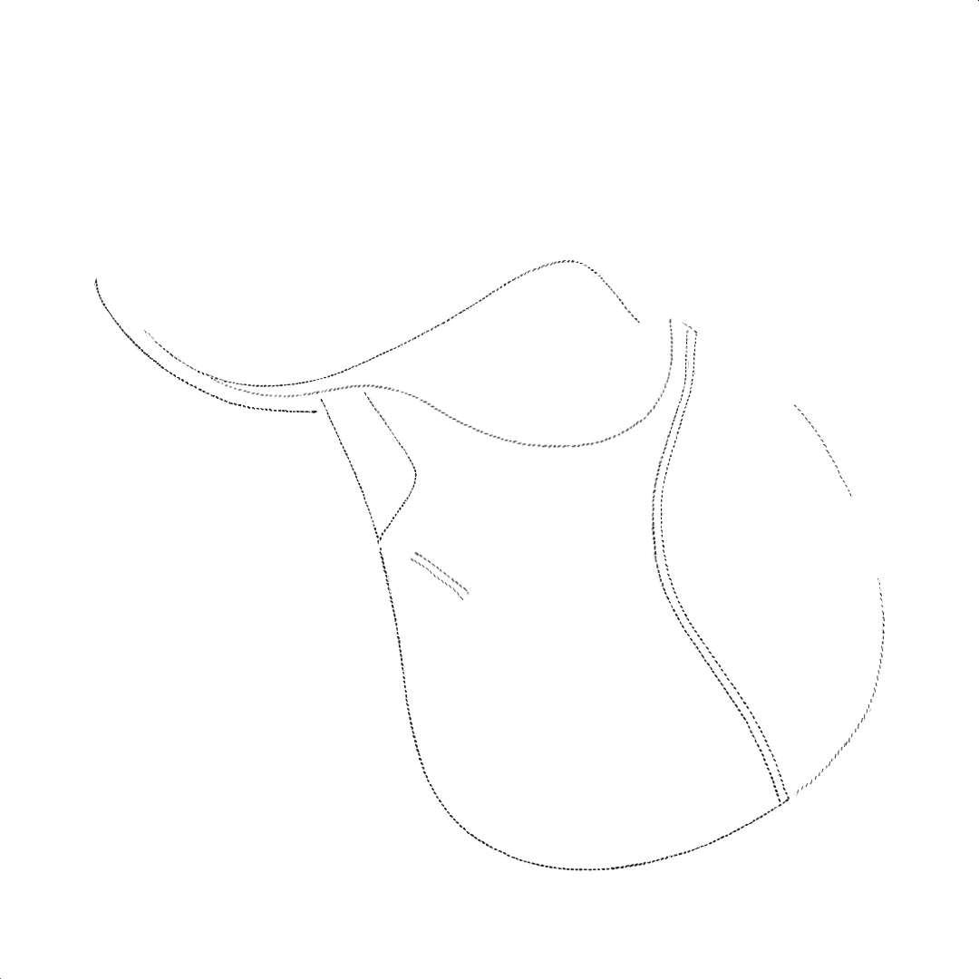 Crown - Colour Stitching
